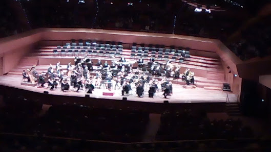 Auditorium Parco della Musica thumb 8